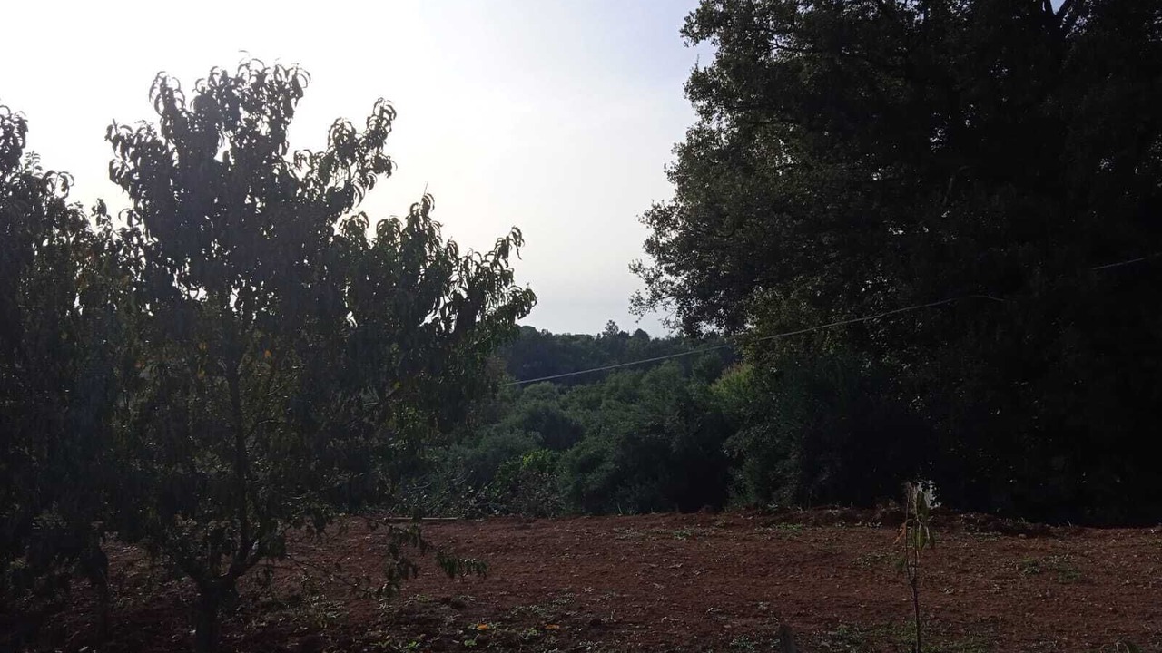 Photo of Others in Western Cosenza Coast