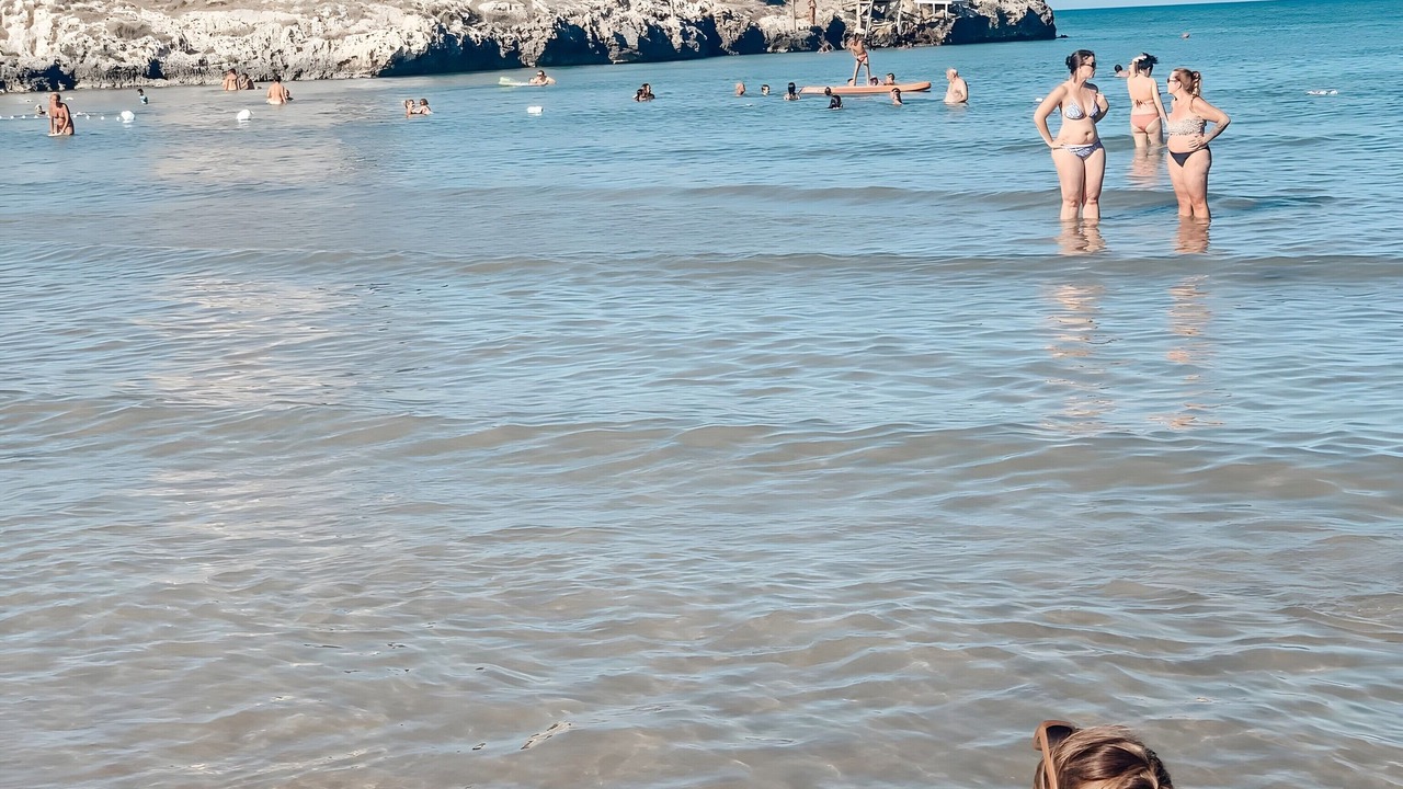 Photo of Others in Mandrione