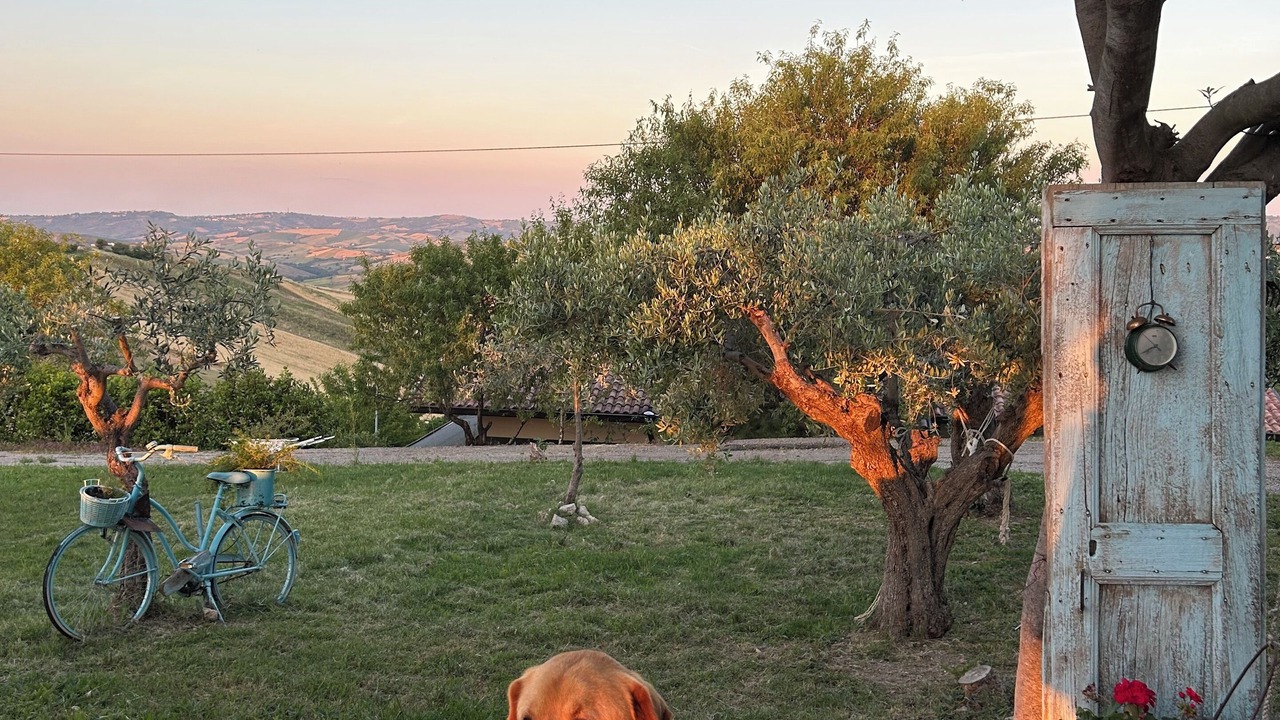 Photo of Outdoor in Atessa