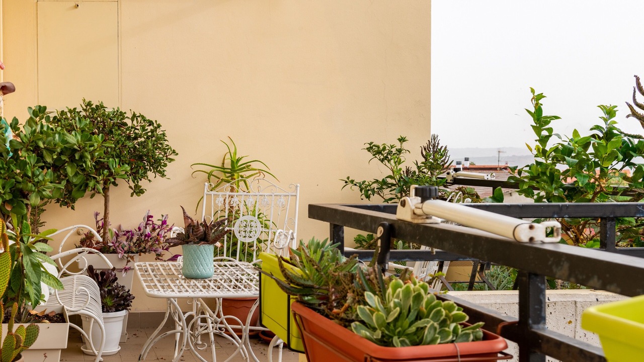 Photo of Outdoor in Fossacesia