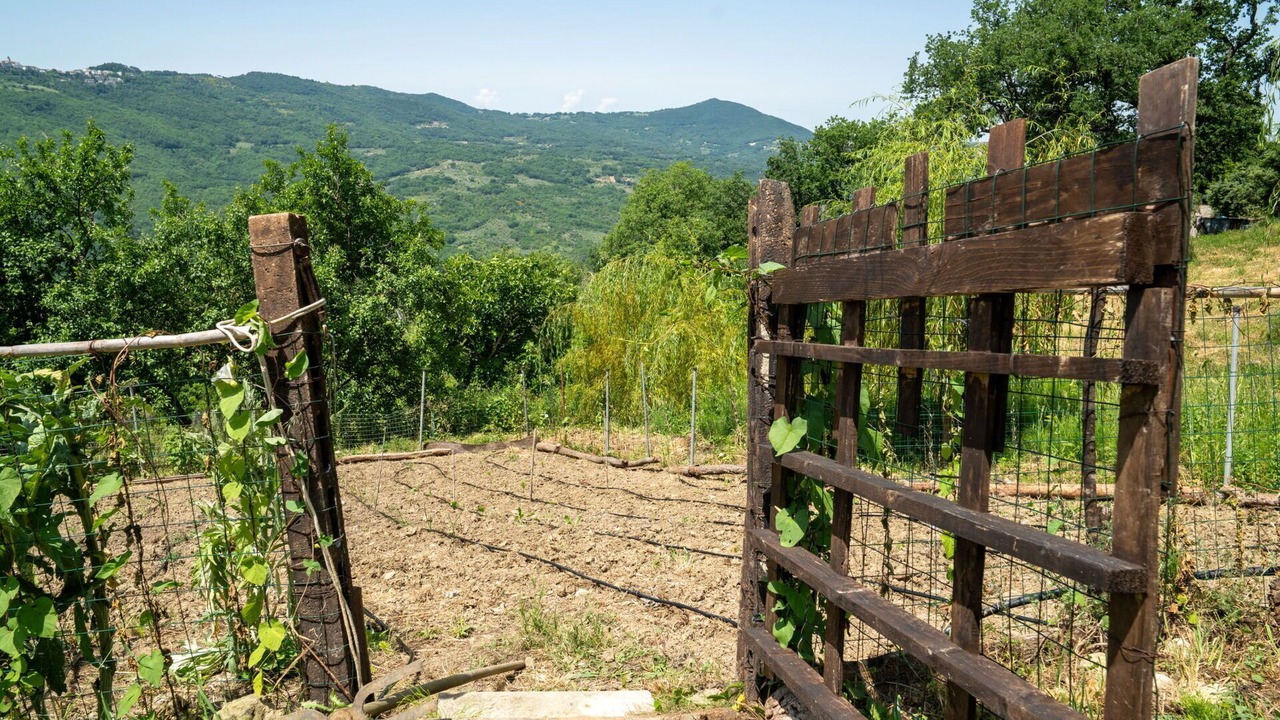 Photo of Outdoor in Palmoli
