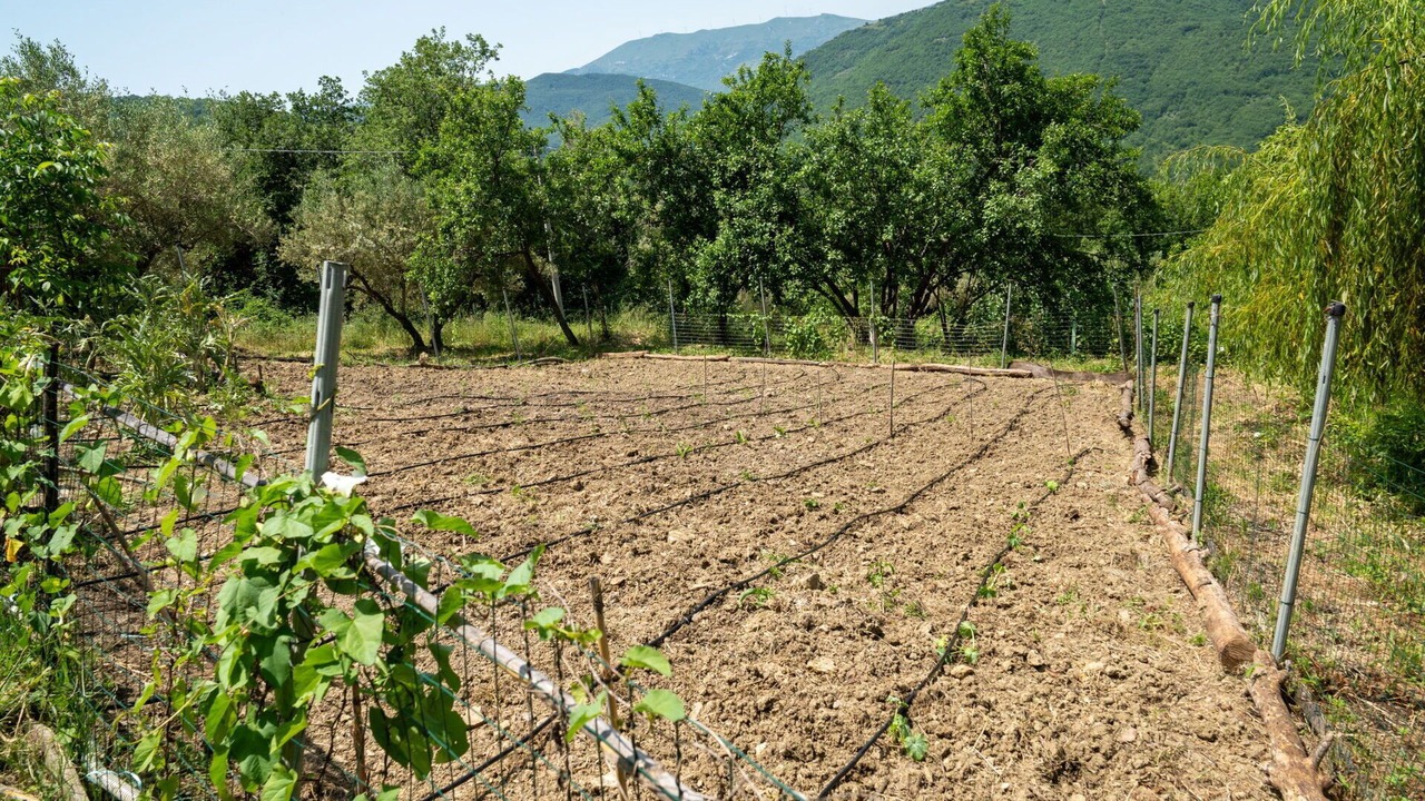 Photo of Outdoor in Palmoli