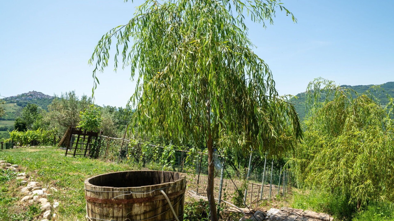 Photo of Outdoor in Palmoli
