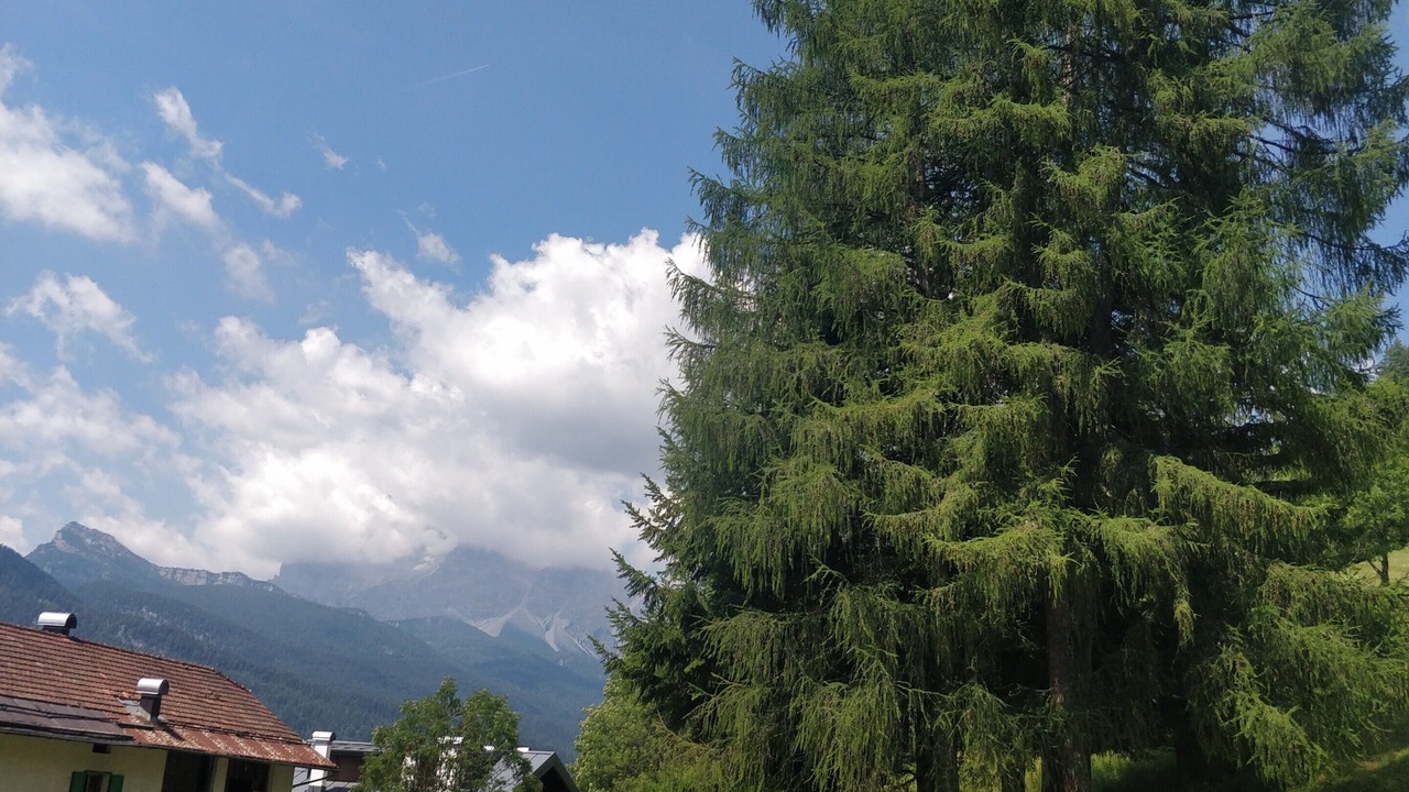 Photo of Outdoor in Vodo Cadore