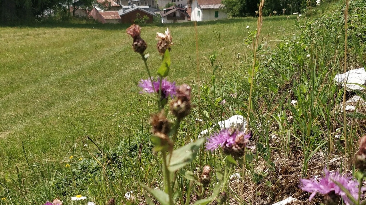 Photo of Outdoor in Vodo Cadore