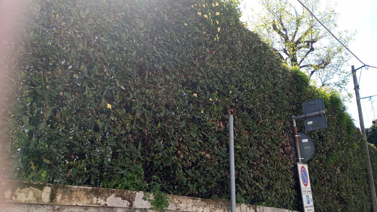 Photo of Others in Vicenza