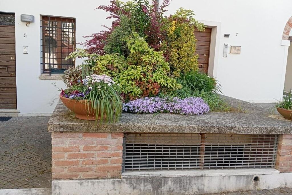 Photo of Outdoor in Vicenza