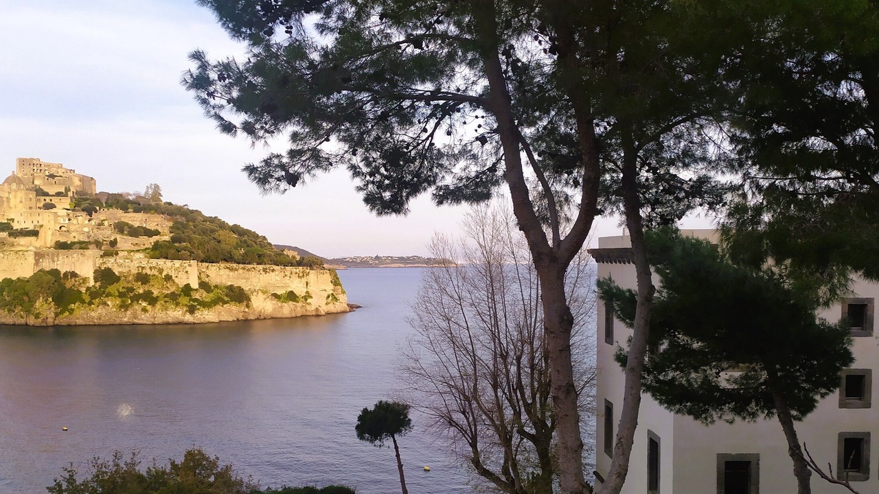 Photo of Others in Ischia Porto