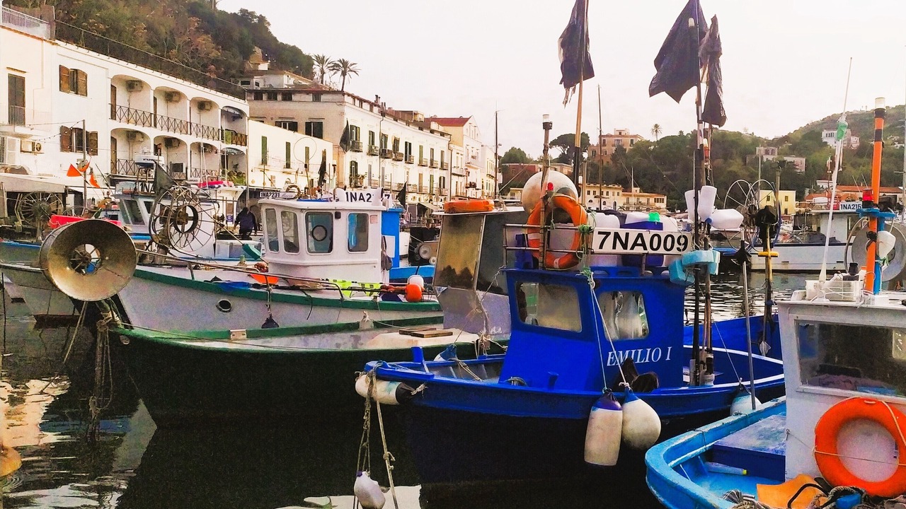 Photo of Others in Ischia Porto