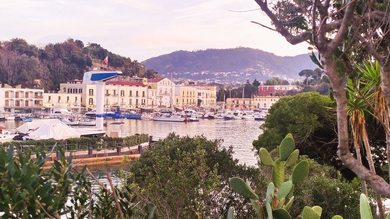 Photo of Others in Ischia Porto