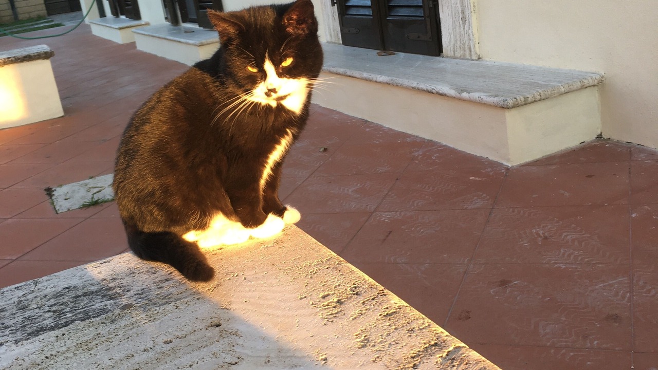 Photo of Outdoor in Manciano