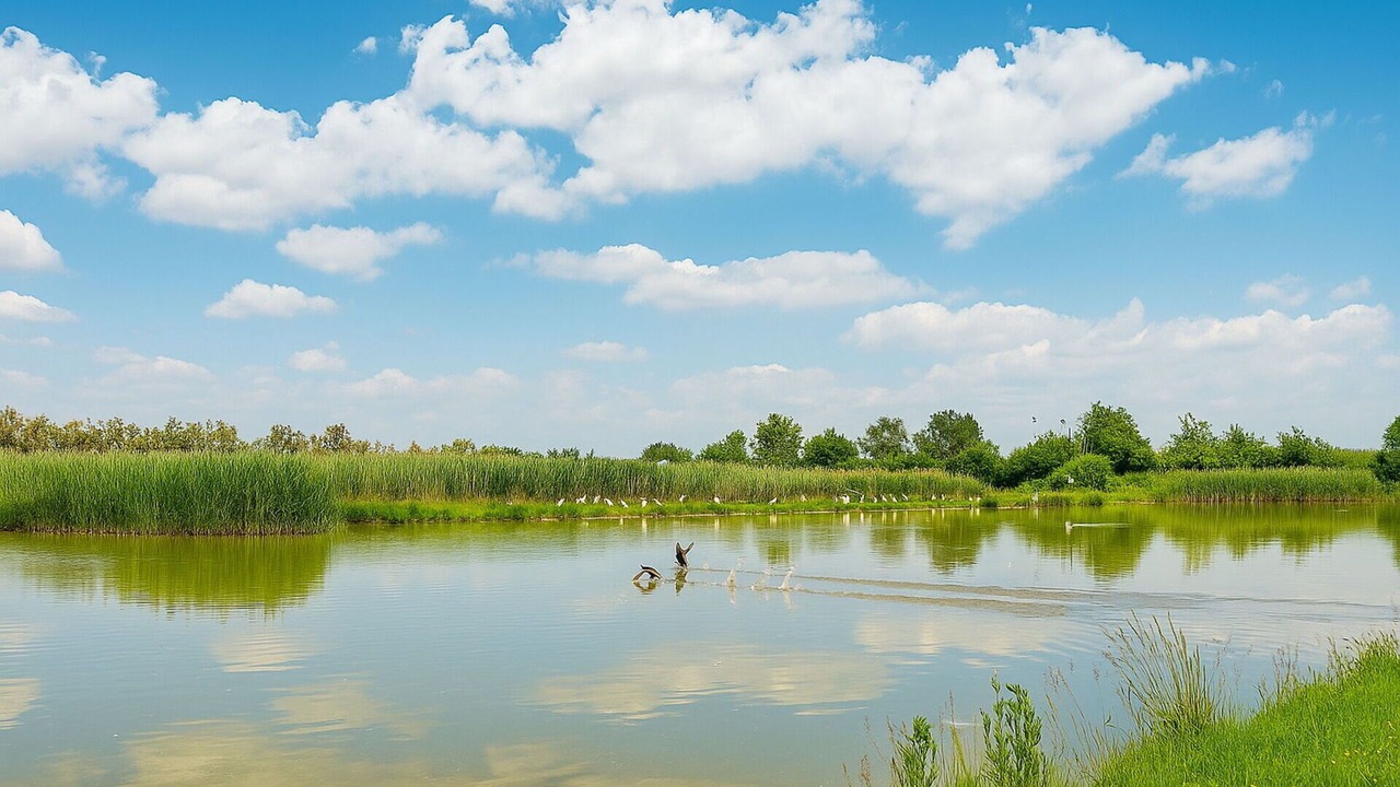 Photo of Outdoor in Ca'Noghera