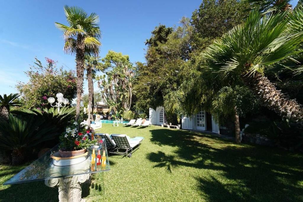 Photo of Outdoor in Forio