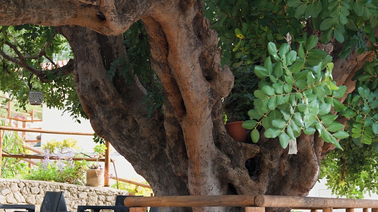 Photo of Outdoor in Mattinata