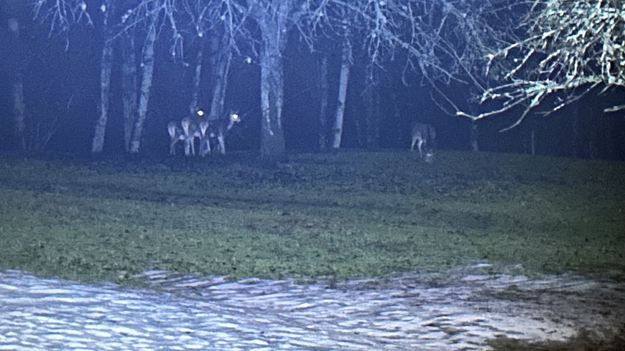 Photo of Others in Val di Zoldo