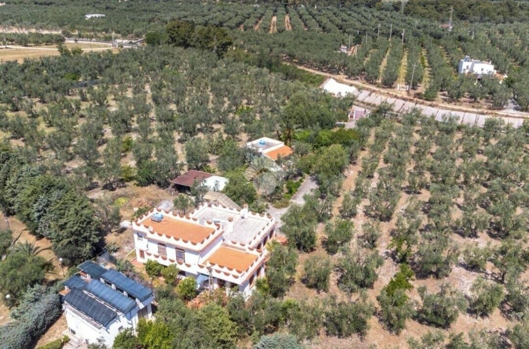 Photo of Outdoor in Montincello