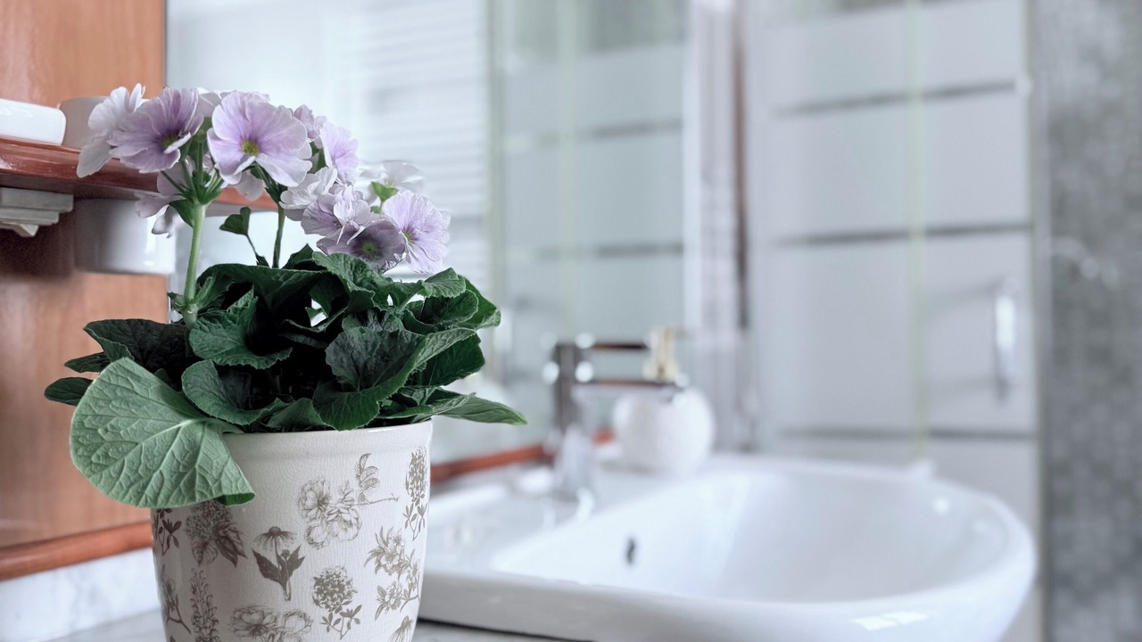 Photo of Bathroom in Torre Angela