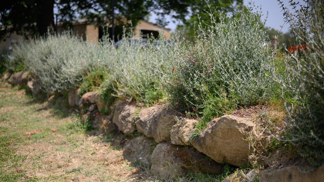 Photo of Outdoor in Pitigliano