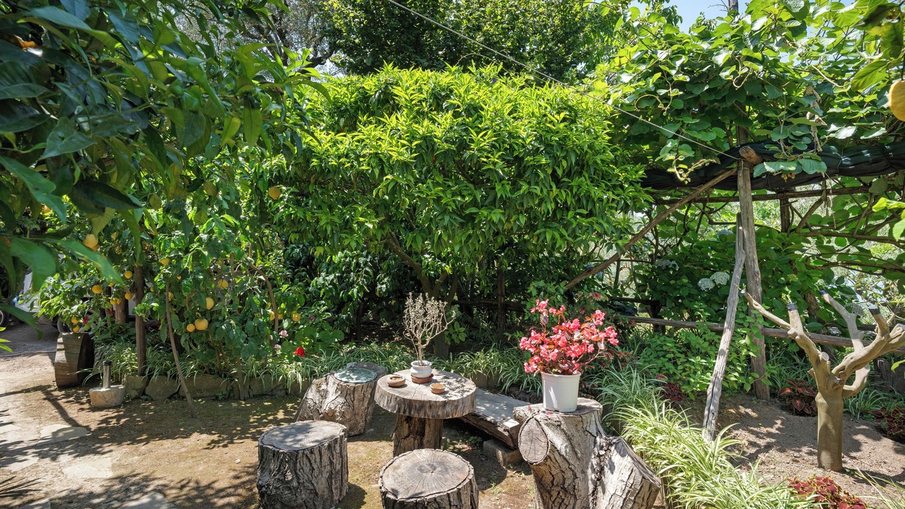 Photo of Patio Balcony in Colli di Fontanelle