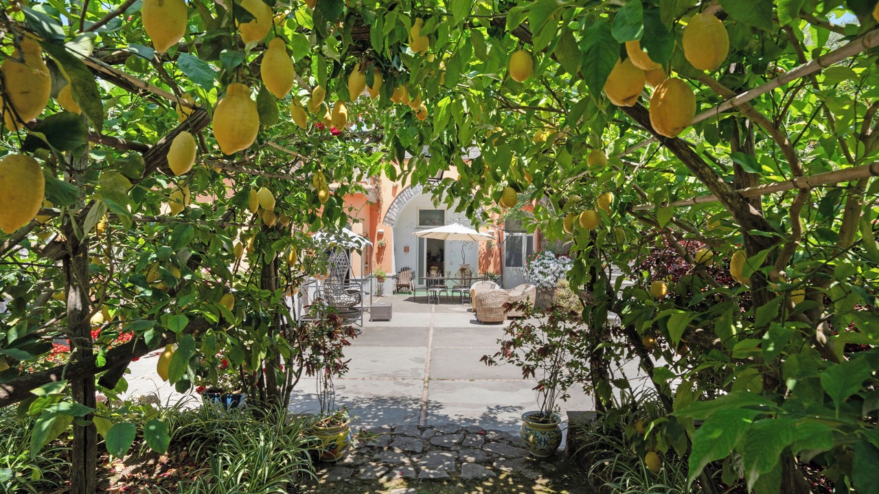 Photo of Outdoor in Colli di Fontanelle