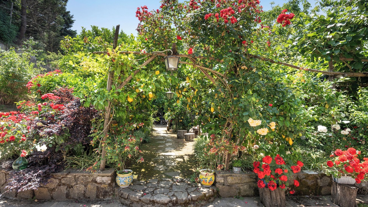 Photo of Outdoor in Colli di Fontanelle