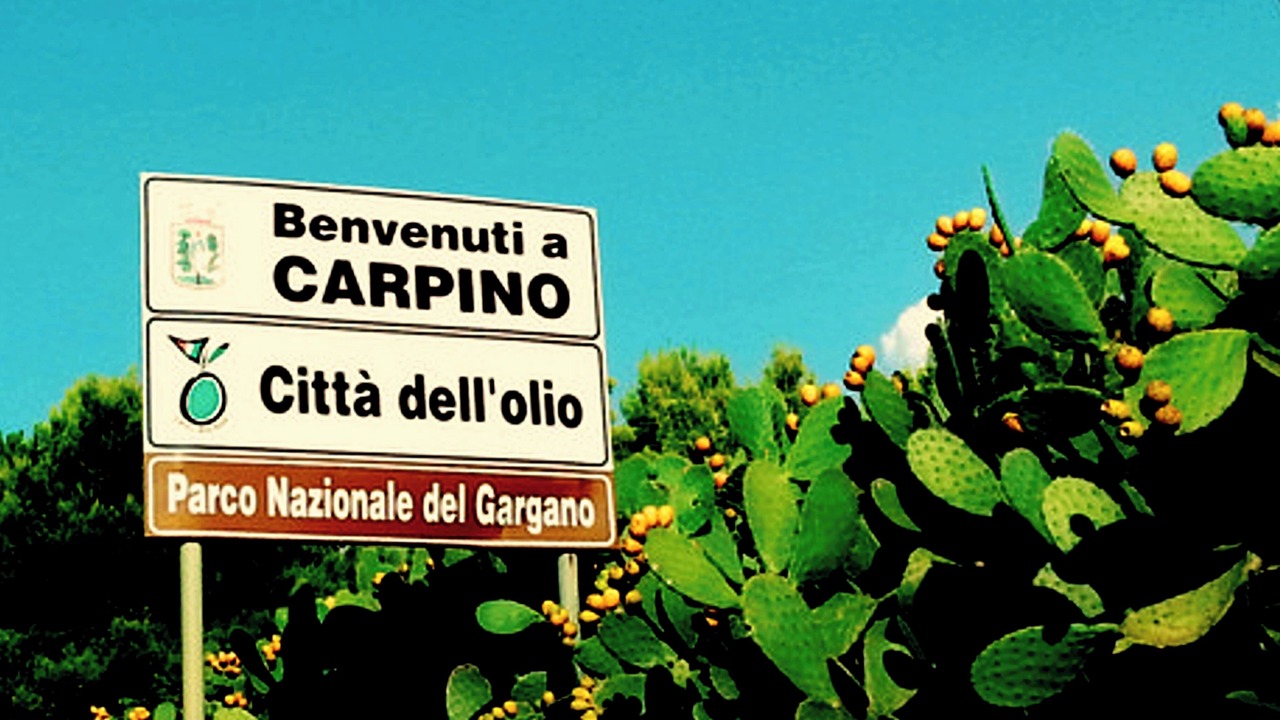 Photo of Outdoor in Carpino