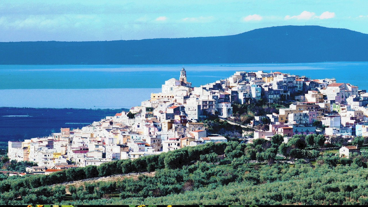 Photo of Others in Carpino