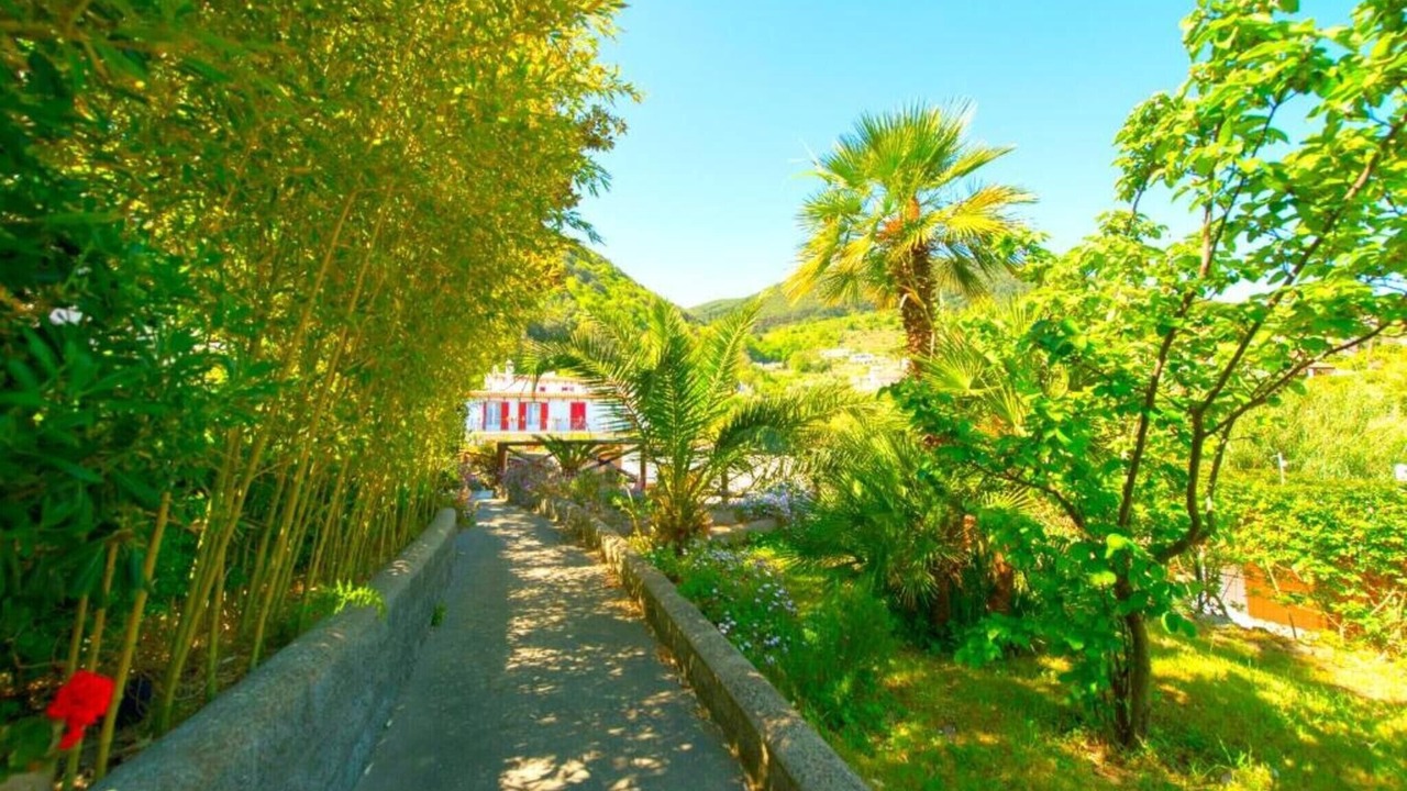 Photo of Outdoor in Ischia Porto