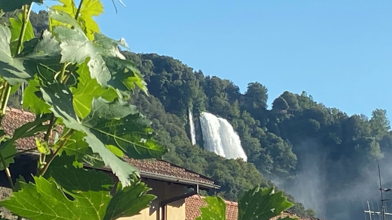 Photo of Others in Terni