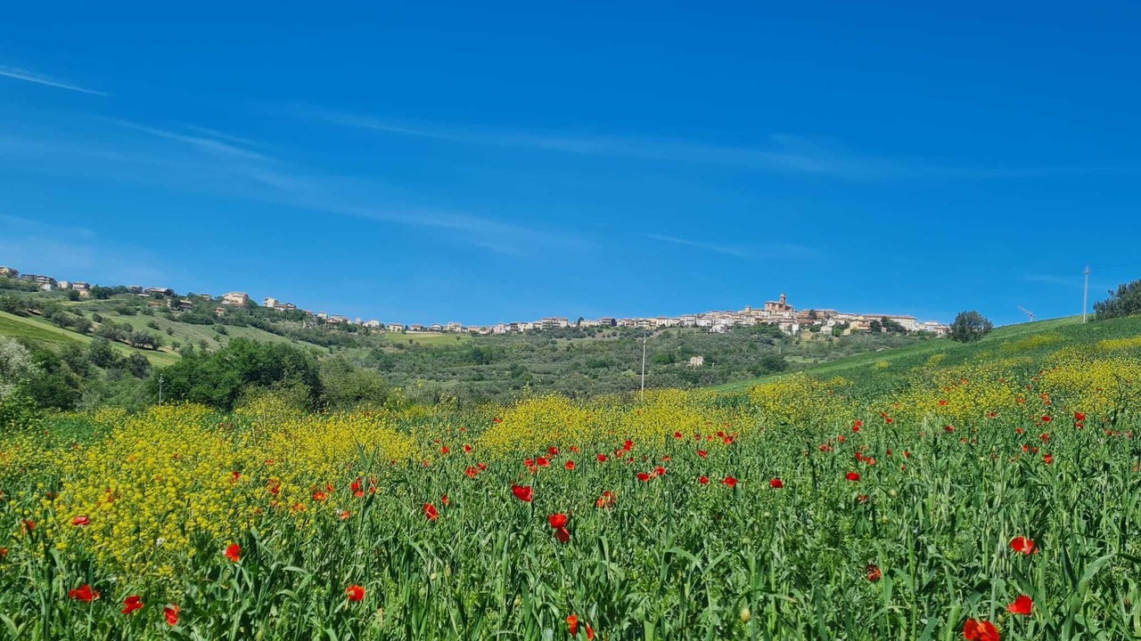 Photo of Others in Lanciano