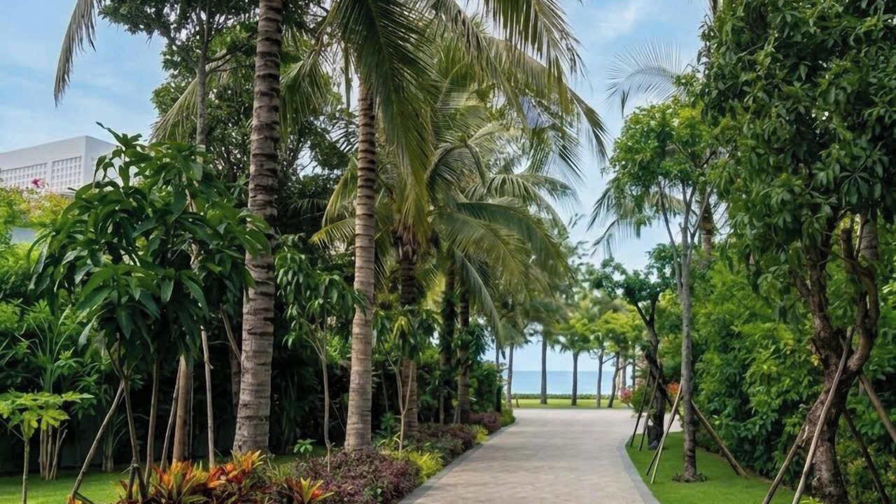 Photo of Outdoor in Dien Duong