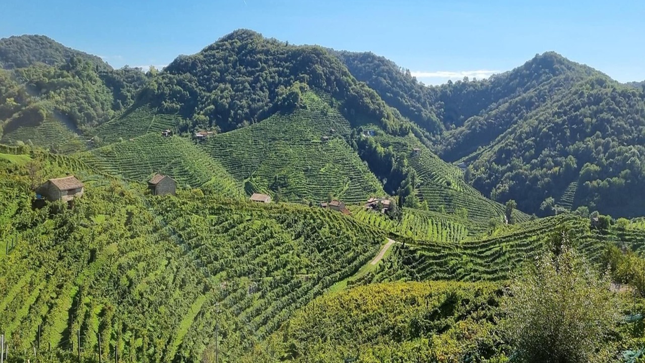 Photo of Others in Farra di Soligo