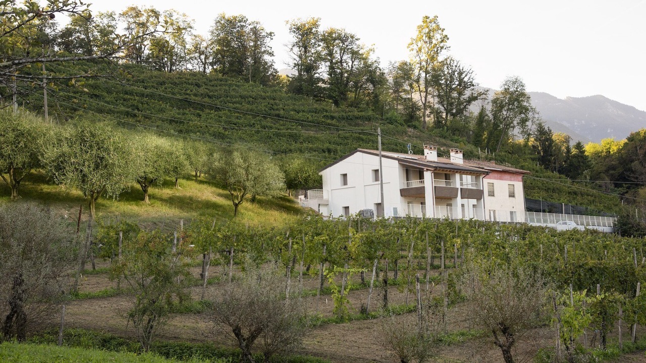 Photo of Outdoor in Farra di Soligo