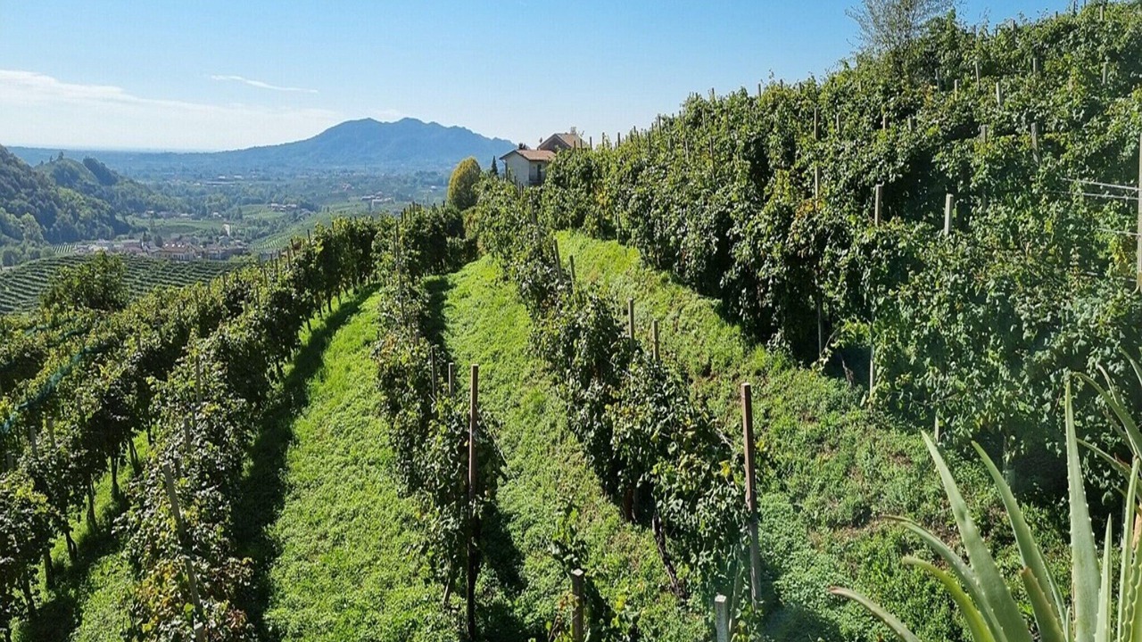 Photo of Others in Farra di Soligo
