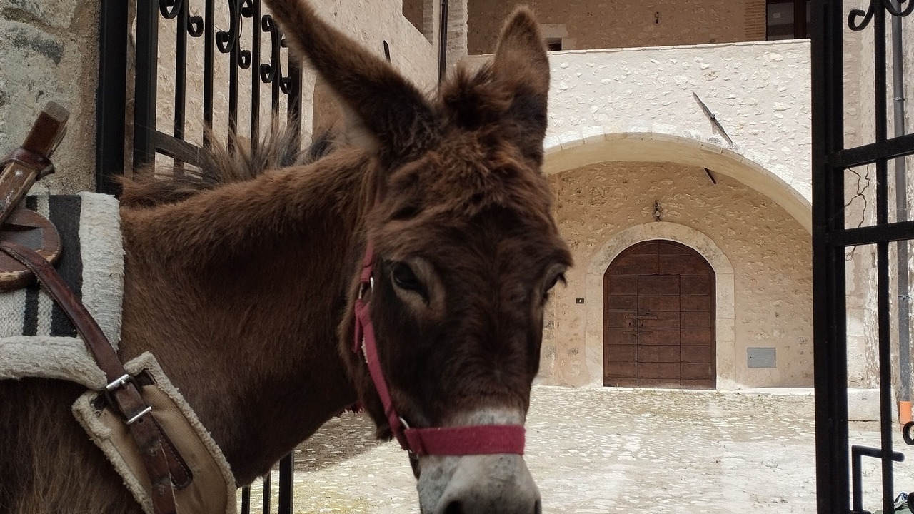 Photo of Outdoor in Goriano Valli