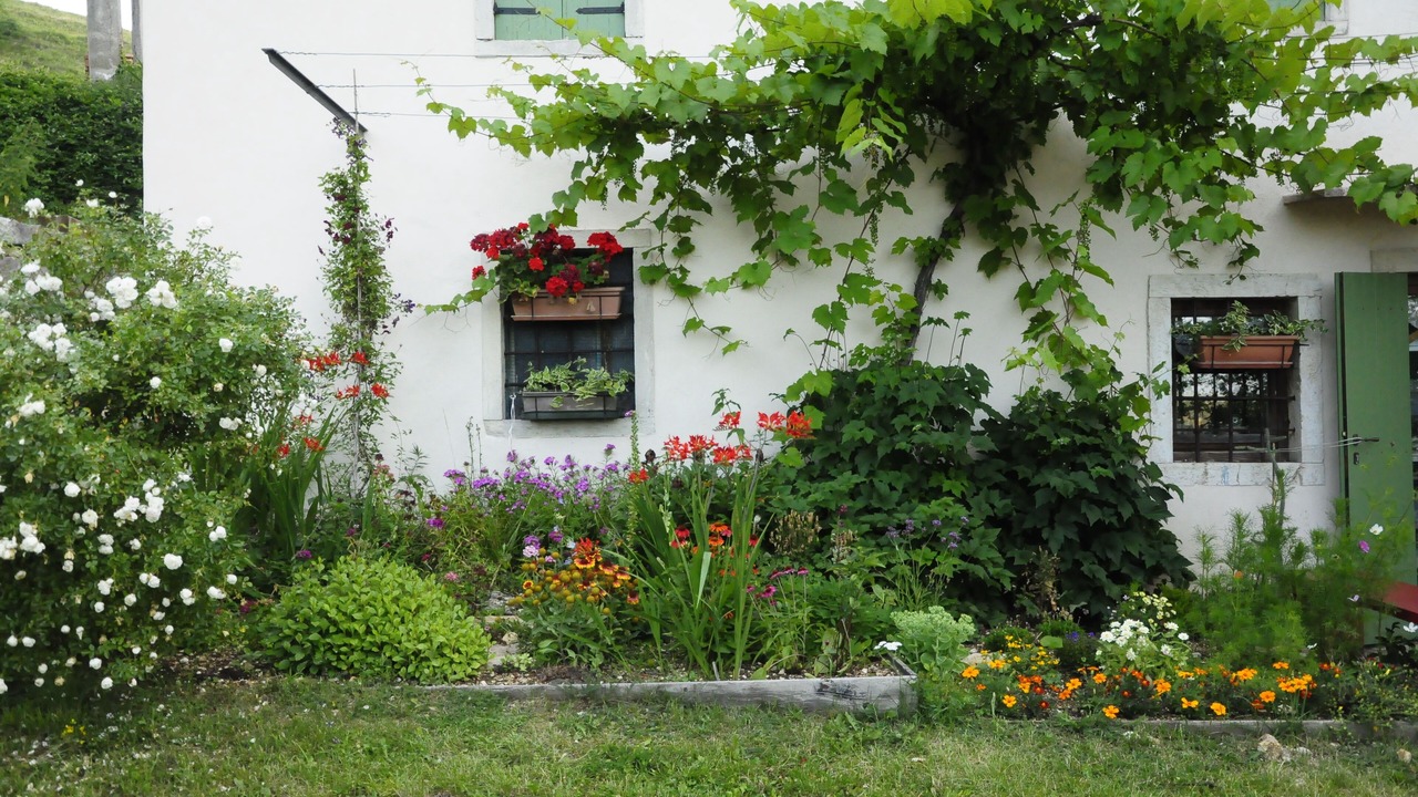 Photo of Outdoor in Selva di Progno