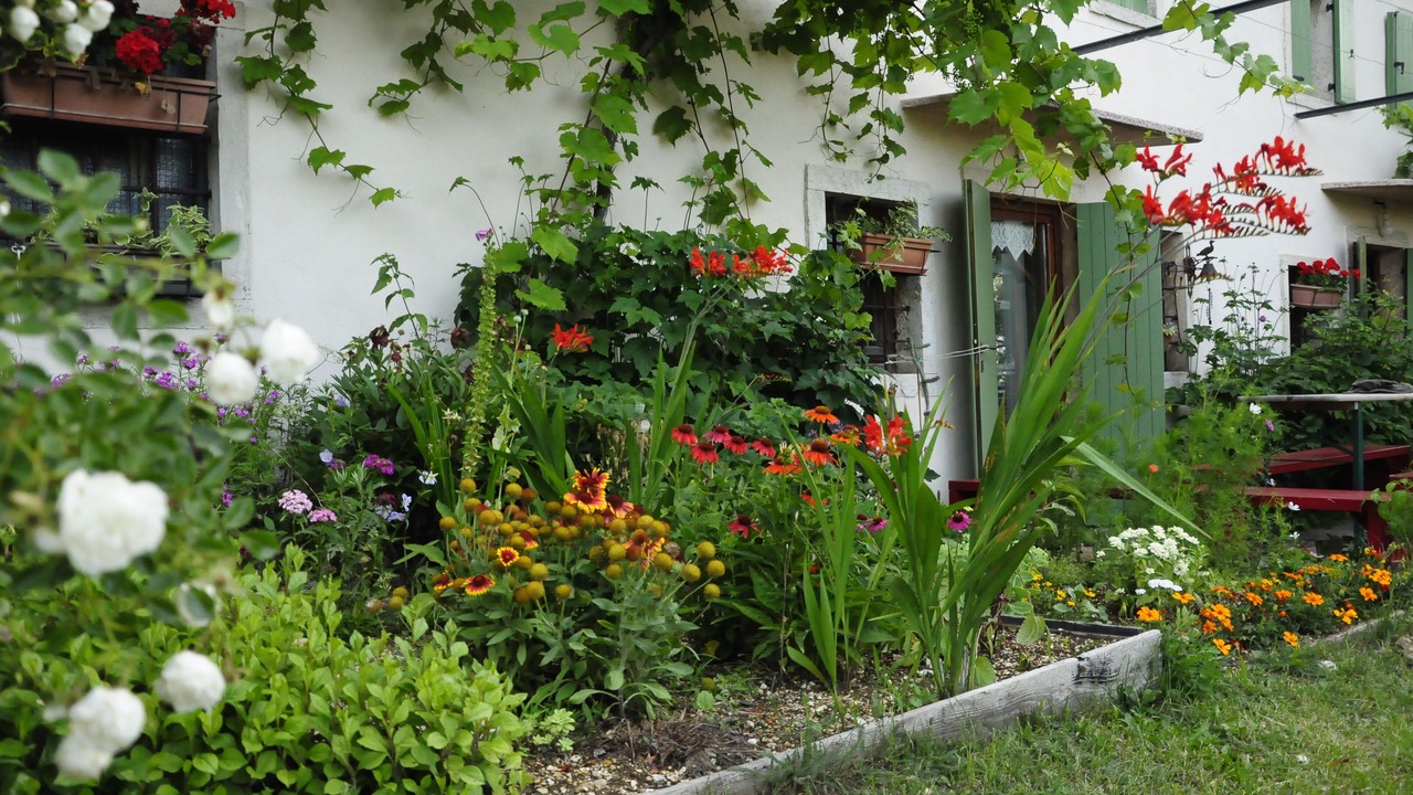 Photo of Outdoor in Selva di Progno