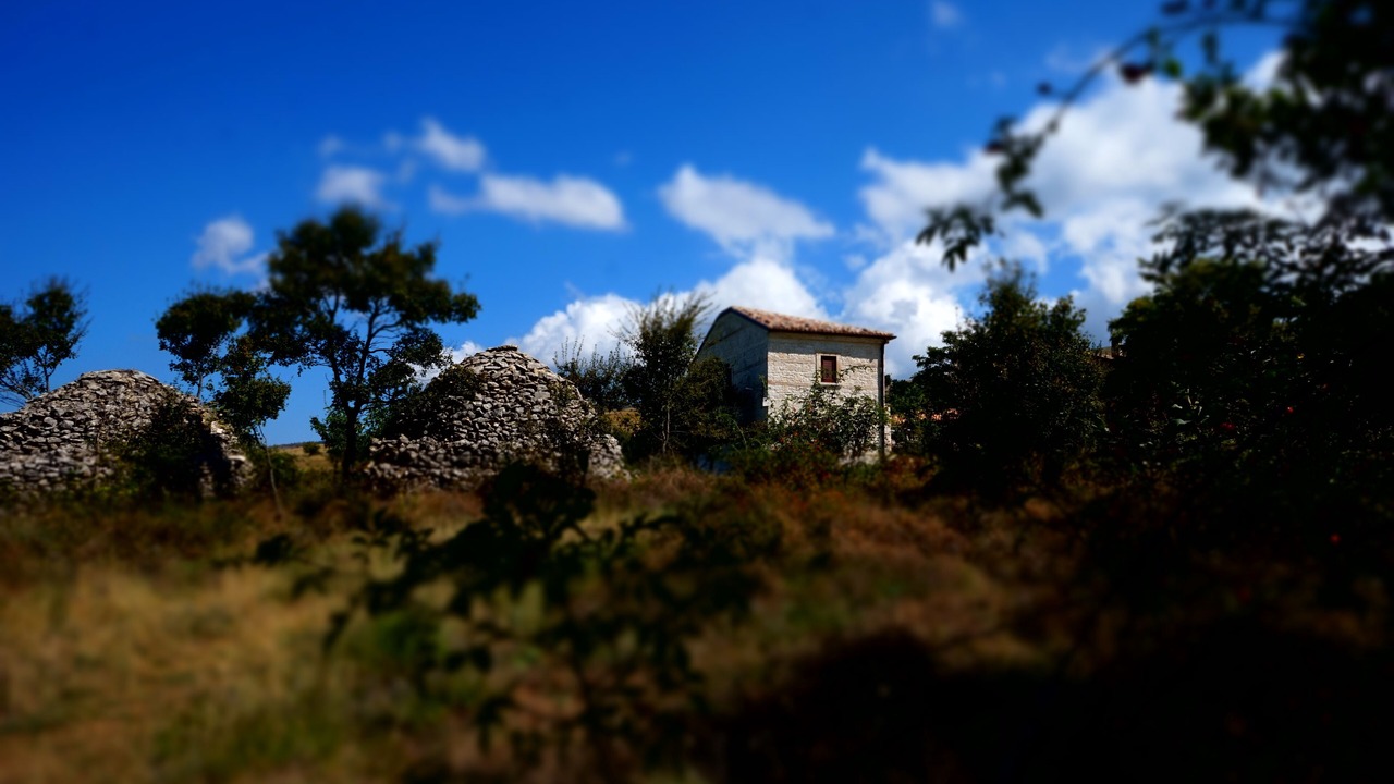 Photo of Others in Roccamorice