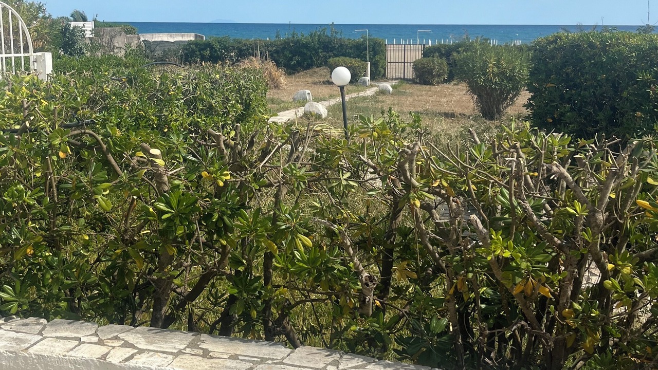 Photo of Outdoor in Latina Lido