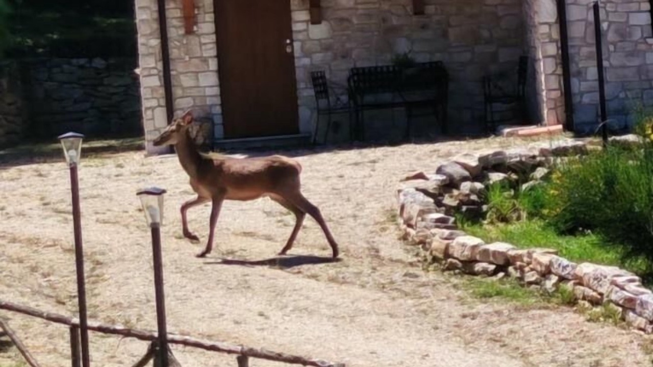 Photo of Outdoor in Roccamorice