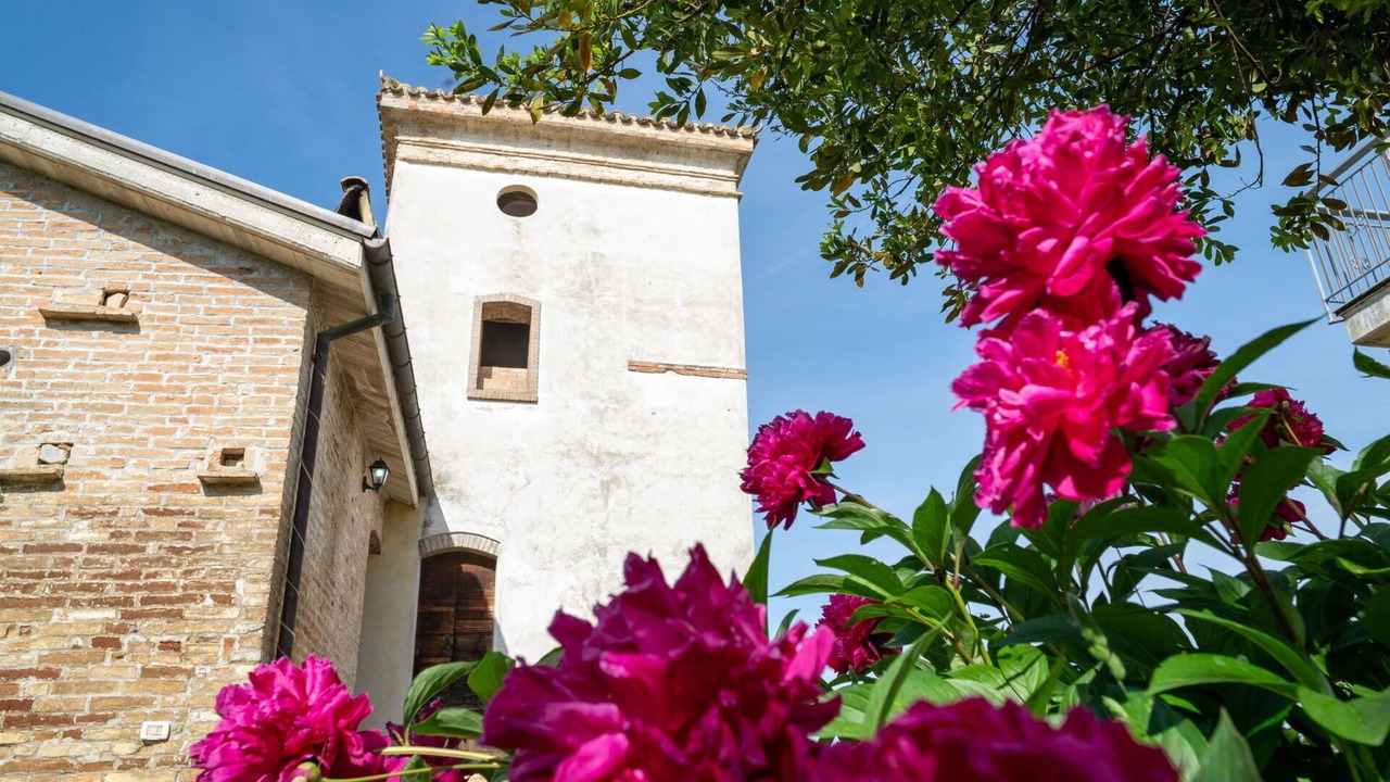 Photo of Patio Balcony in Citta Sant'Angelo