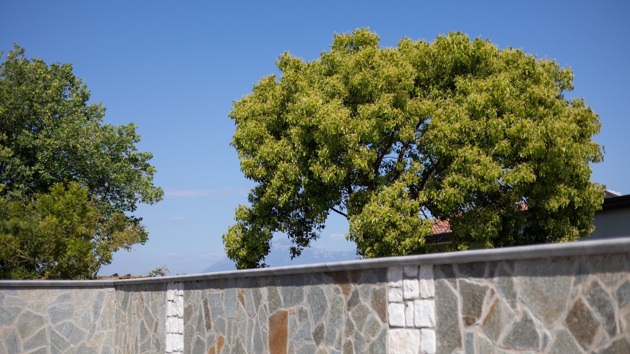 Photo of Outdoor in Capaccio Scalo