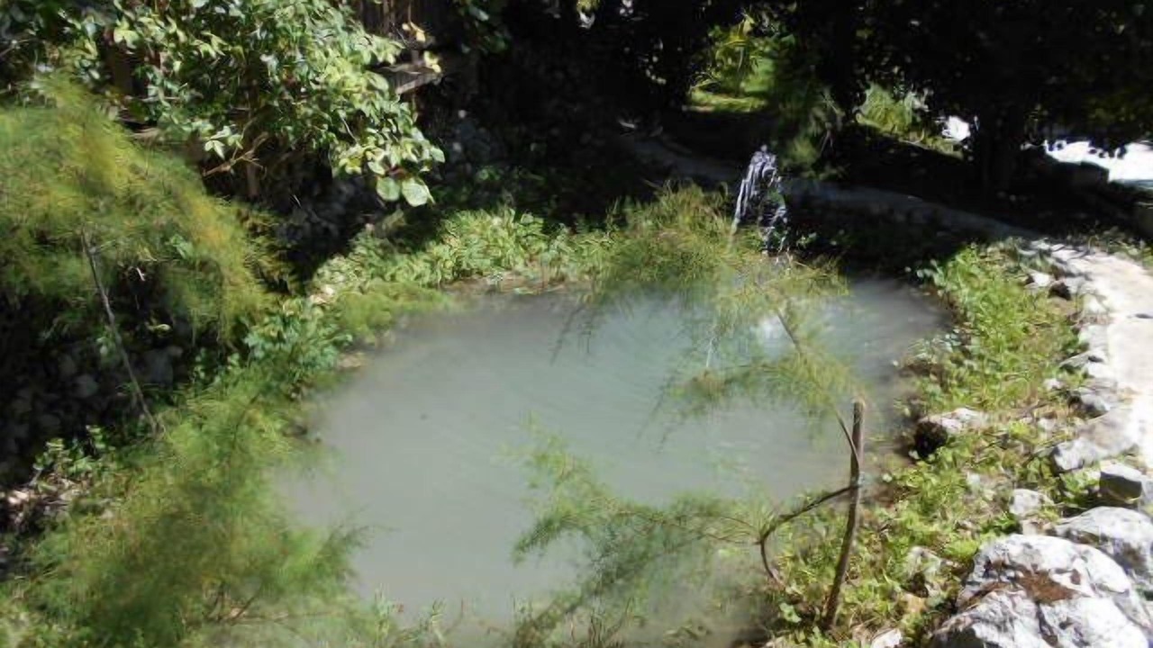 Photo of Outdoor in Campo di Fano