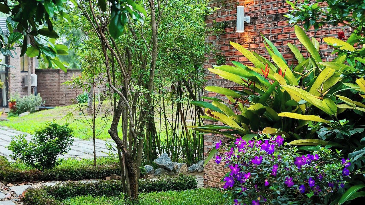 Photo of Outdoor in Son Tay