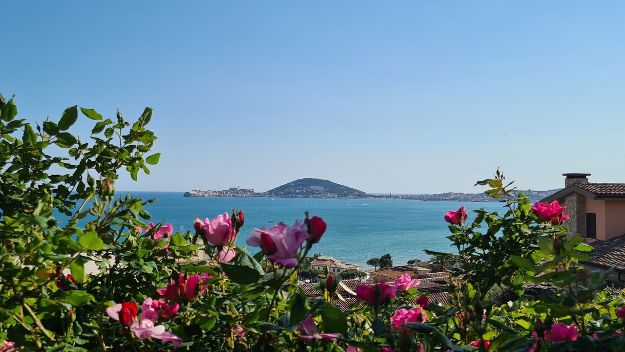 Photo of Others in Formia