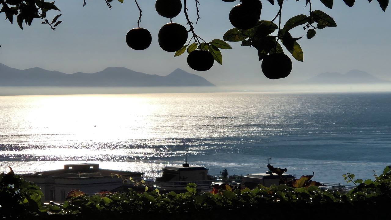 Photo of Others in Formia