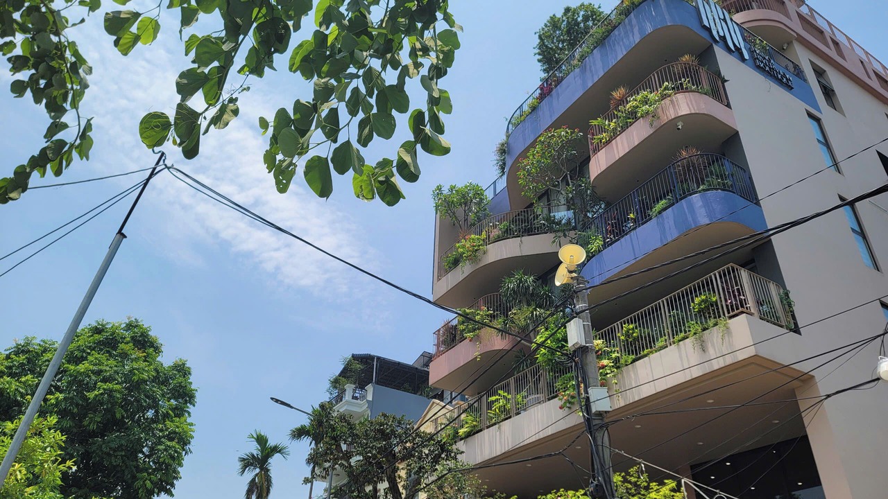 Photo of Outdoor in Nhat Tan