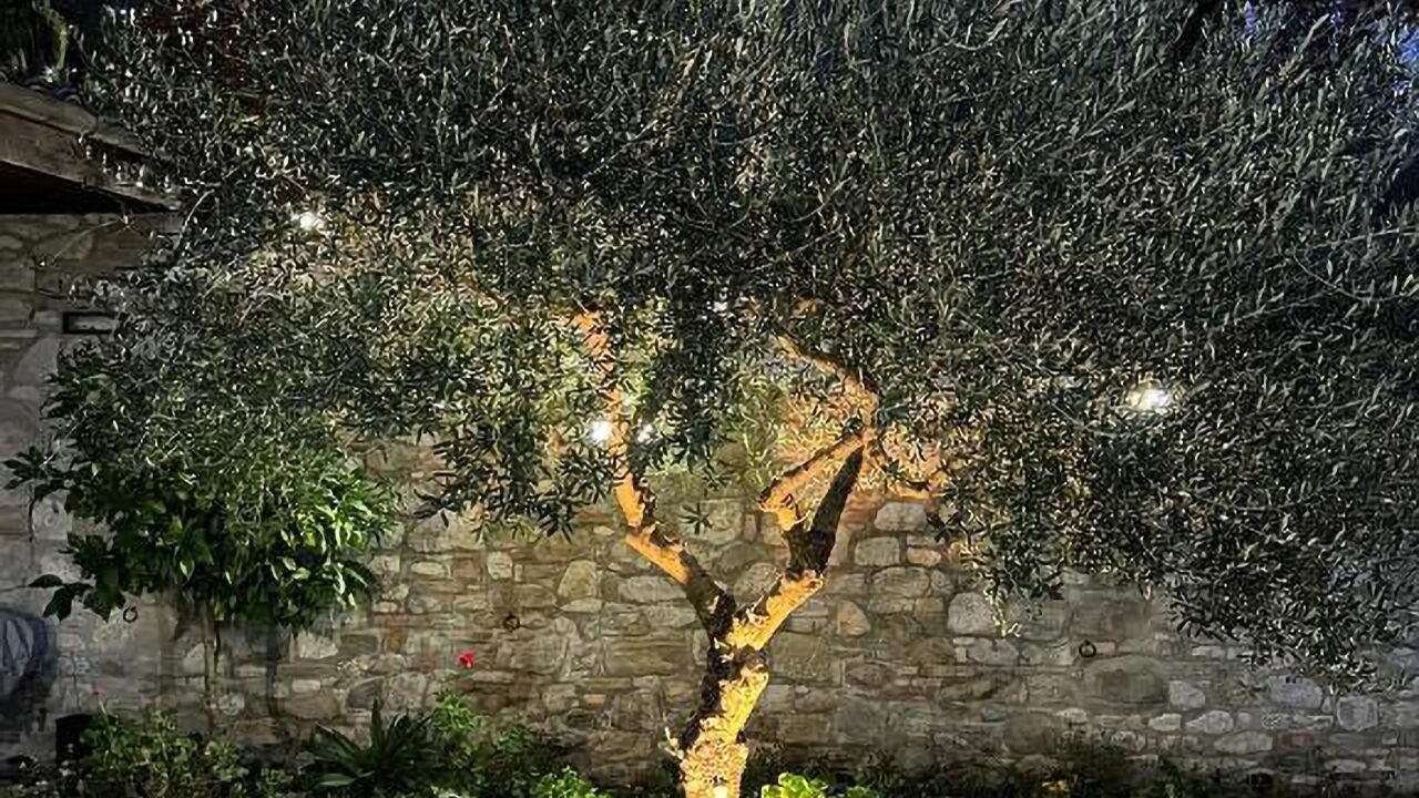 Photo of Outdoor in Vicoli
