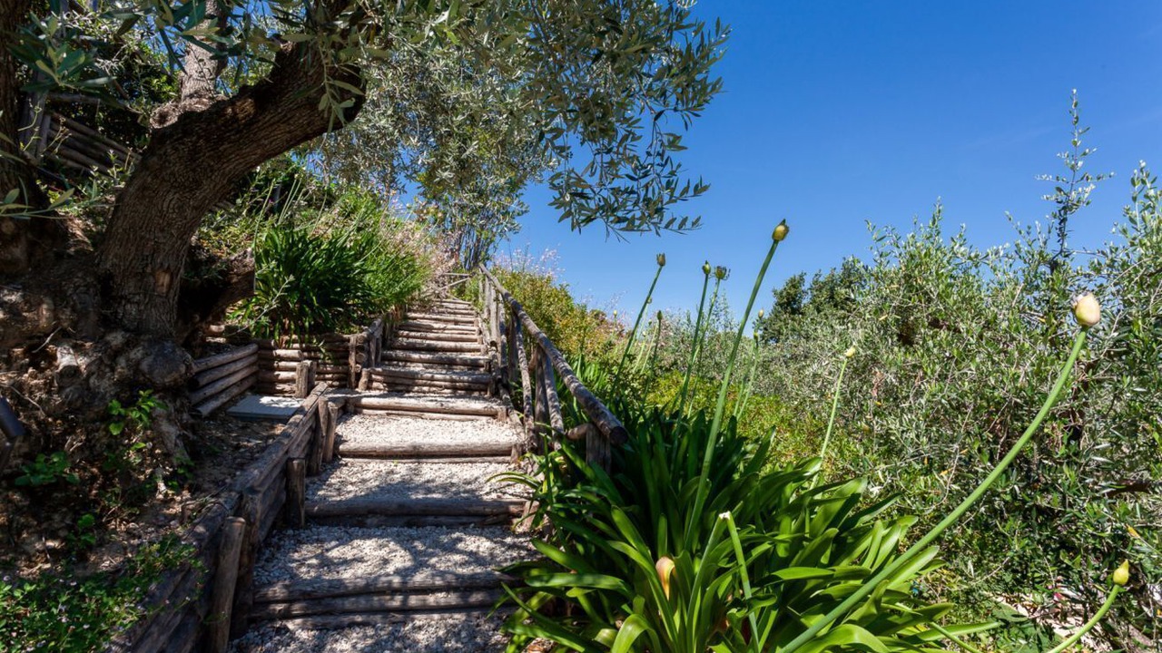 Photo of Outdoor in San Savino