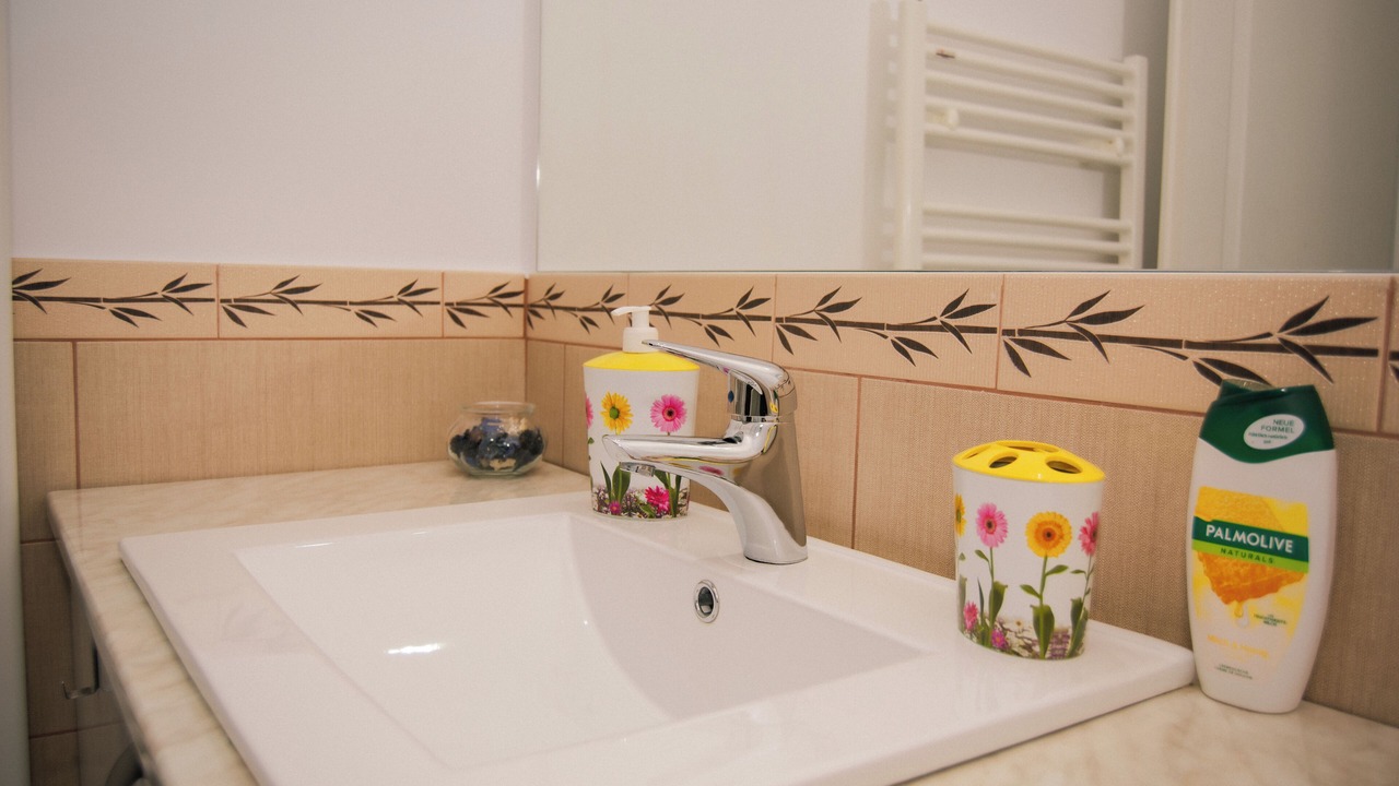 Photo of Bathroom in Bran